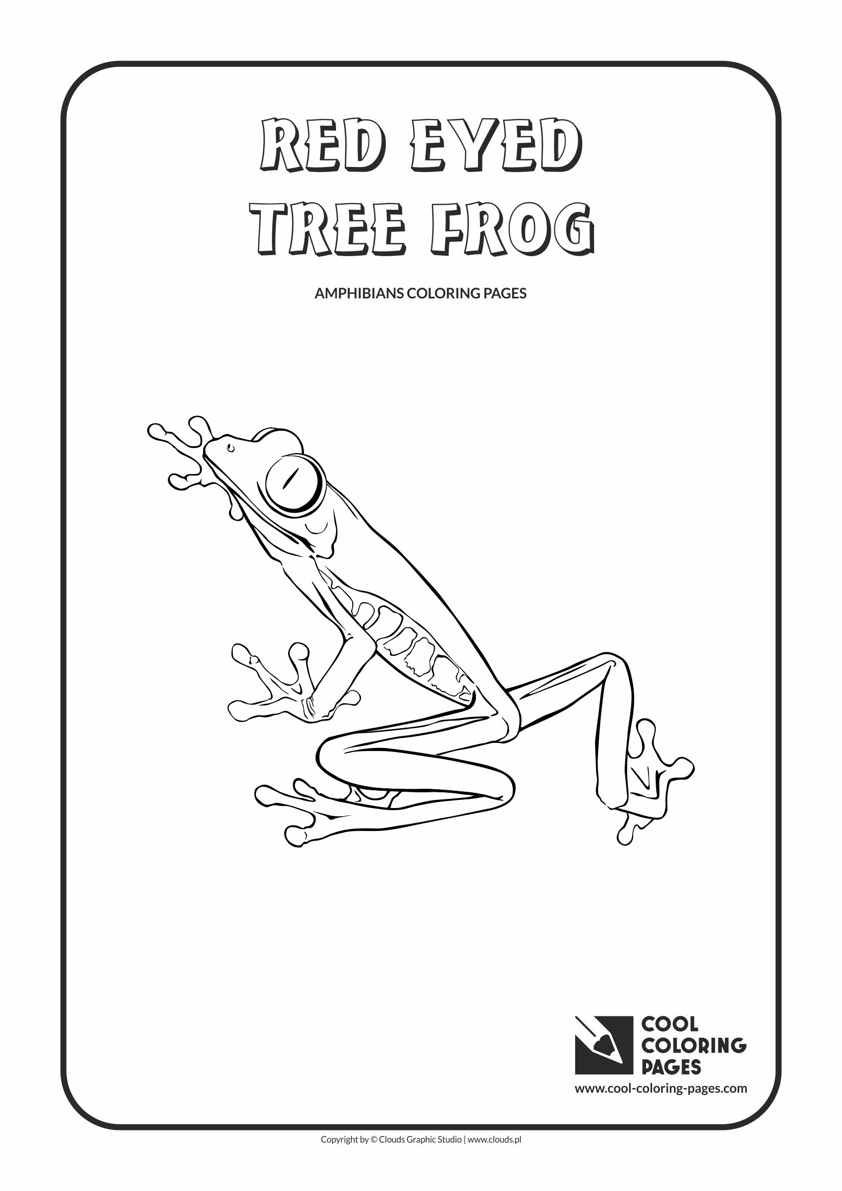 Red Eyed Tree Frog Coloring Page Cool Pages Animals