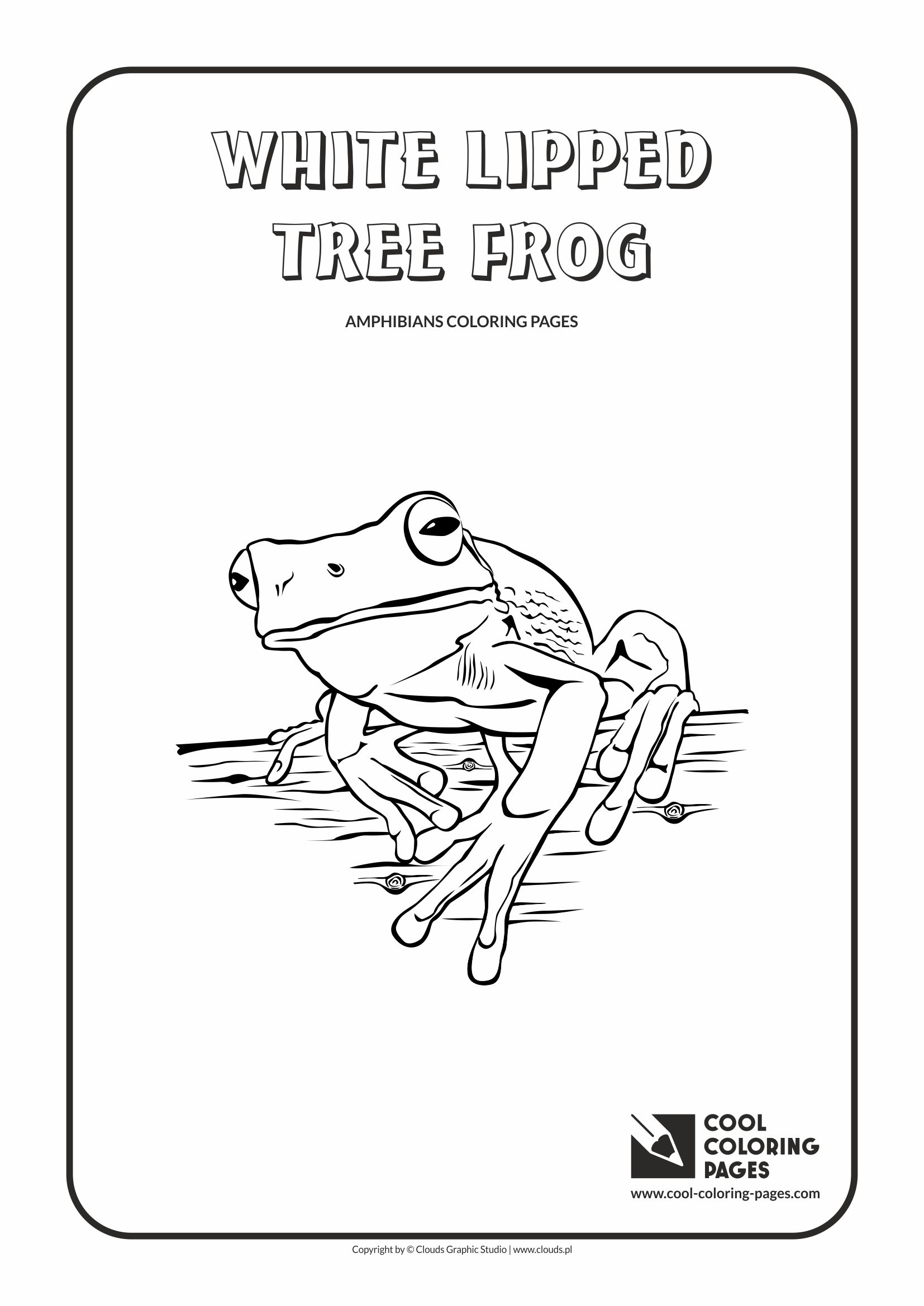 White Lipped Tree Frog Coloring Page Cool Pages Animals