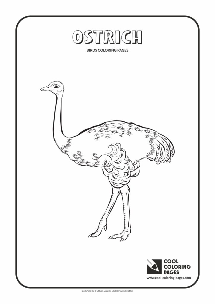 Cool Coloring Pages Ostrich Coloring Page Cool Coloring