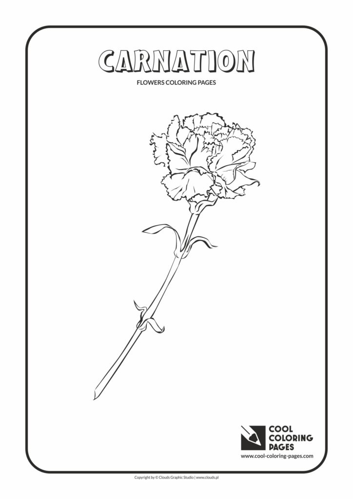 Cool Coloring Pages Carnation coloring page - Cool Coloring Pages