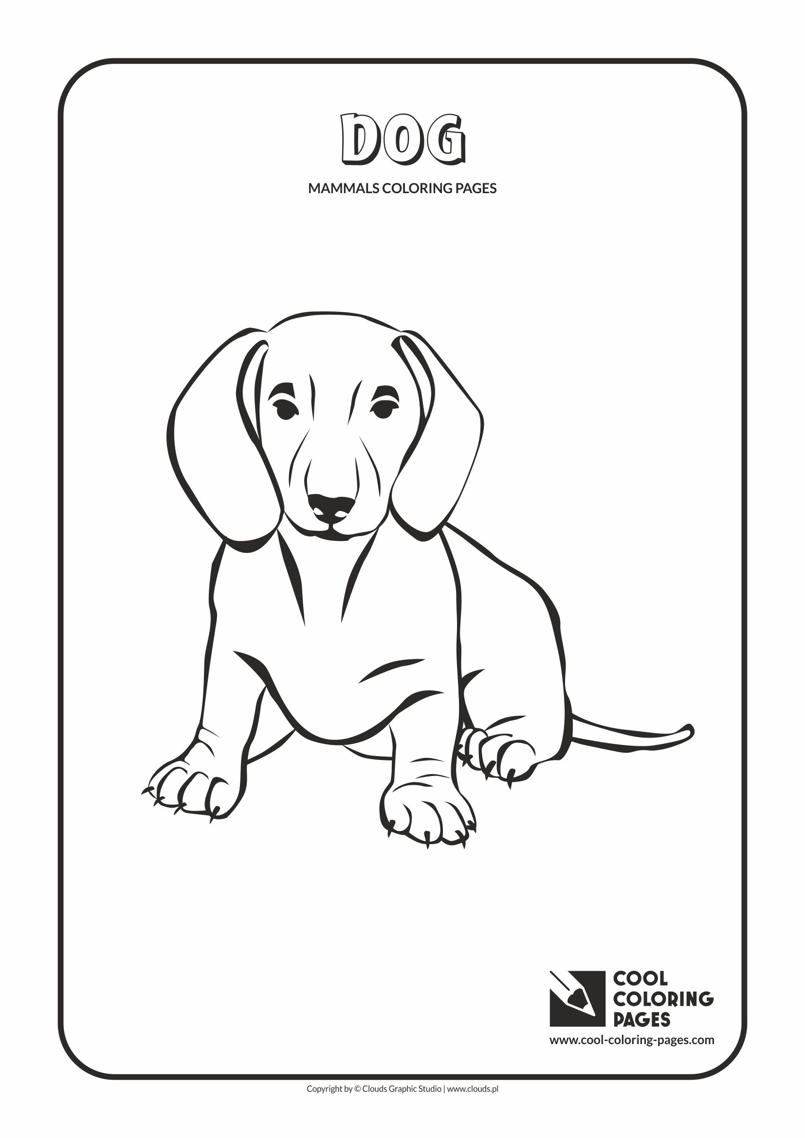Animals Coloring Pages Cool Mammals Dog Designs