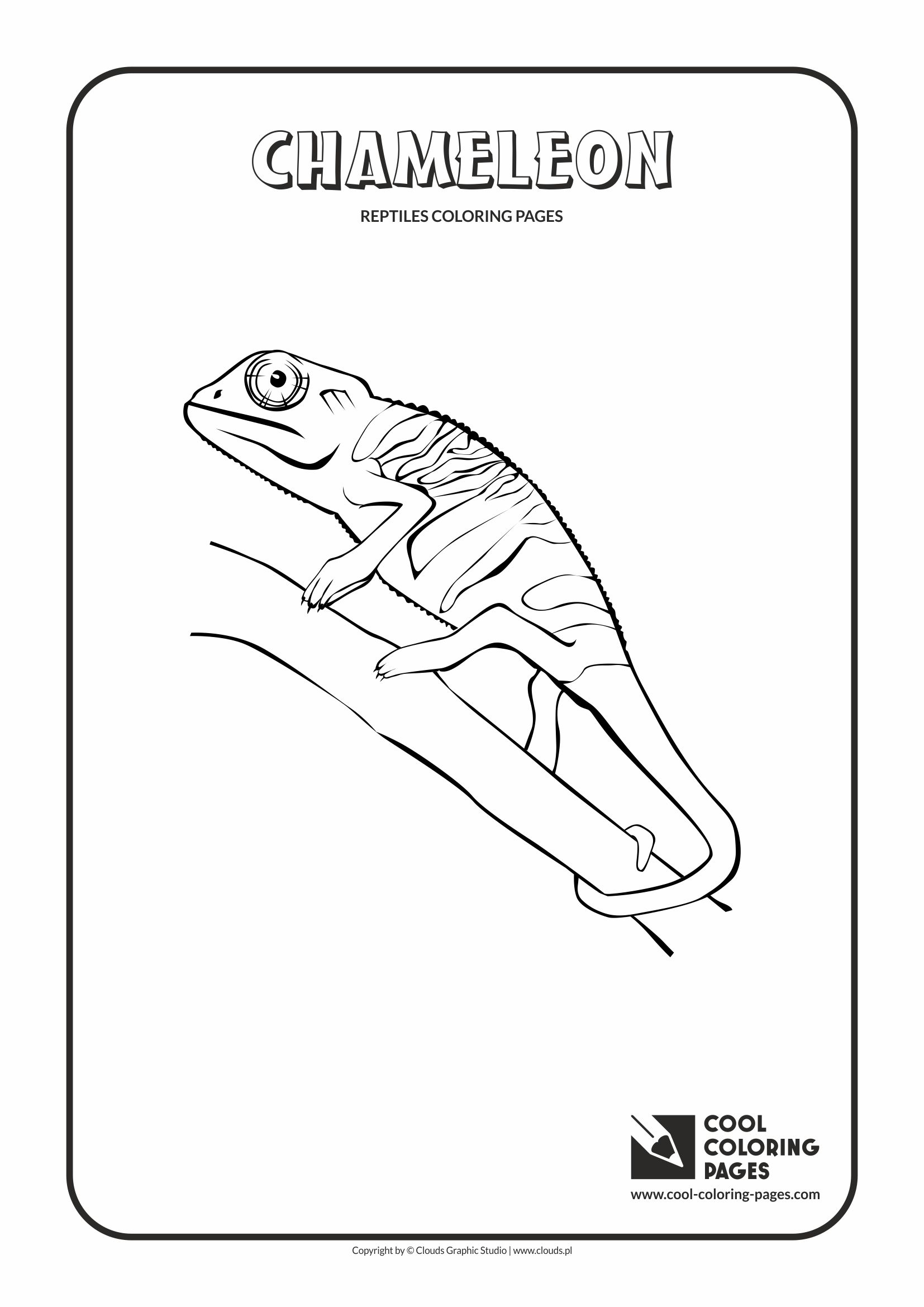 reptile coloring pages