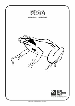 Cool Coloring Pages - Animals / Frog / Coloring page with frog