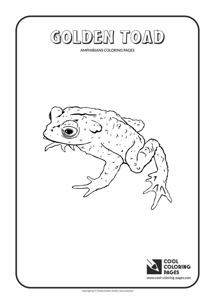 Cool Coloring Pages Golden toad coloring page - Cool Coloring Pages ...