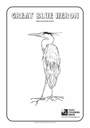 Cool Coloring Pages - Animals / Great blue heron / Coloring page with great blue heron