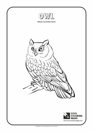 Cool Coloring Pages - Animals / Owl / Coloring page with owl