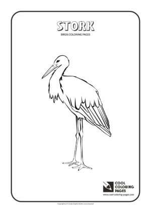 Cool Coloring Pages - Animals / Stork / Coloring page with stork