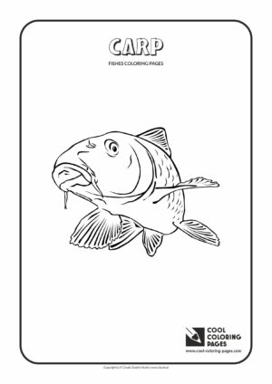 Cool Coloring Pages - Animals / Carp / Coloring page with carp