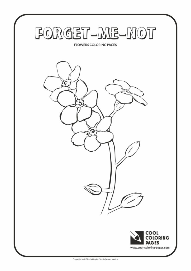 Cool Coloring Pages Forget Me Nots Archives Cool Coloring Pages Free Educational Coloring