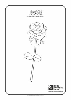 Cool Coloring Pages - Plants / Rose / Coloring page with rose