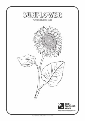 Cool Coloring Pages - Plants / Sunflower / Coloring page with sunflower