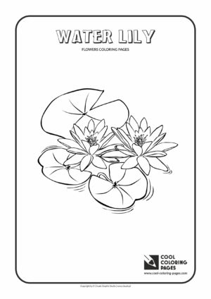 Cool Coloring Pages - Plants / Water lily / Coloring page with water lily