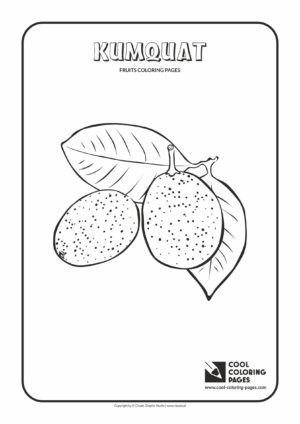 Cool Coloring Pages - Plants / Kumquat / Coloring page with kumquat