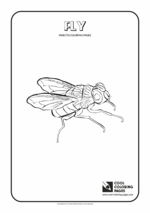 Cool Coloring Pages - Animals / Fly / Coloring page with fly