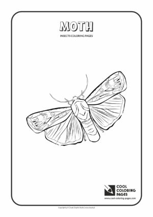 Cool Coloring Pages - Animals / Moth / Coloring page with moth