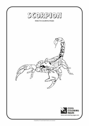 Cool Coloring Pages - Animals / Scorpion / Coloring page with scorpion