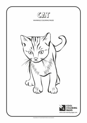 Cool Coloring Pages - Animals / Mammals. Coloring page with cat