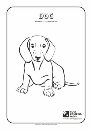 Cool Coloring Pages - Animals / Mammals. Coloring with dog