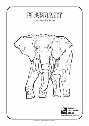 Cool Coloring Pages - Animals / Mammals. Coloring page with elephant