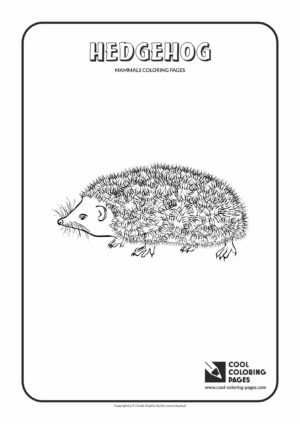 Cool Coloring Pages - Animals / Hedgehog / Coloring page with hedgehog