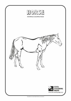 Cool Coloring Pages - Animals / Horse / Coloring page with horse