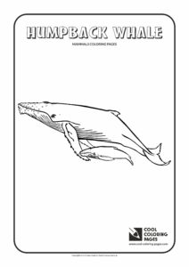 Cool Coloring Pages Humpback whale coloring page - Cool Coloring Pages ...