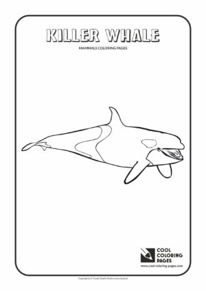 Cool Coloring Pages - Animals / Killer whale orca / Coloring page with killer whale orca