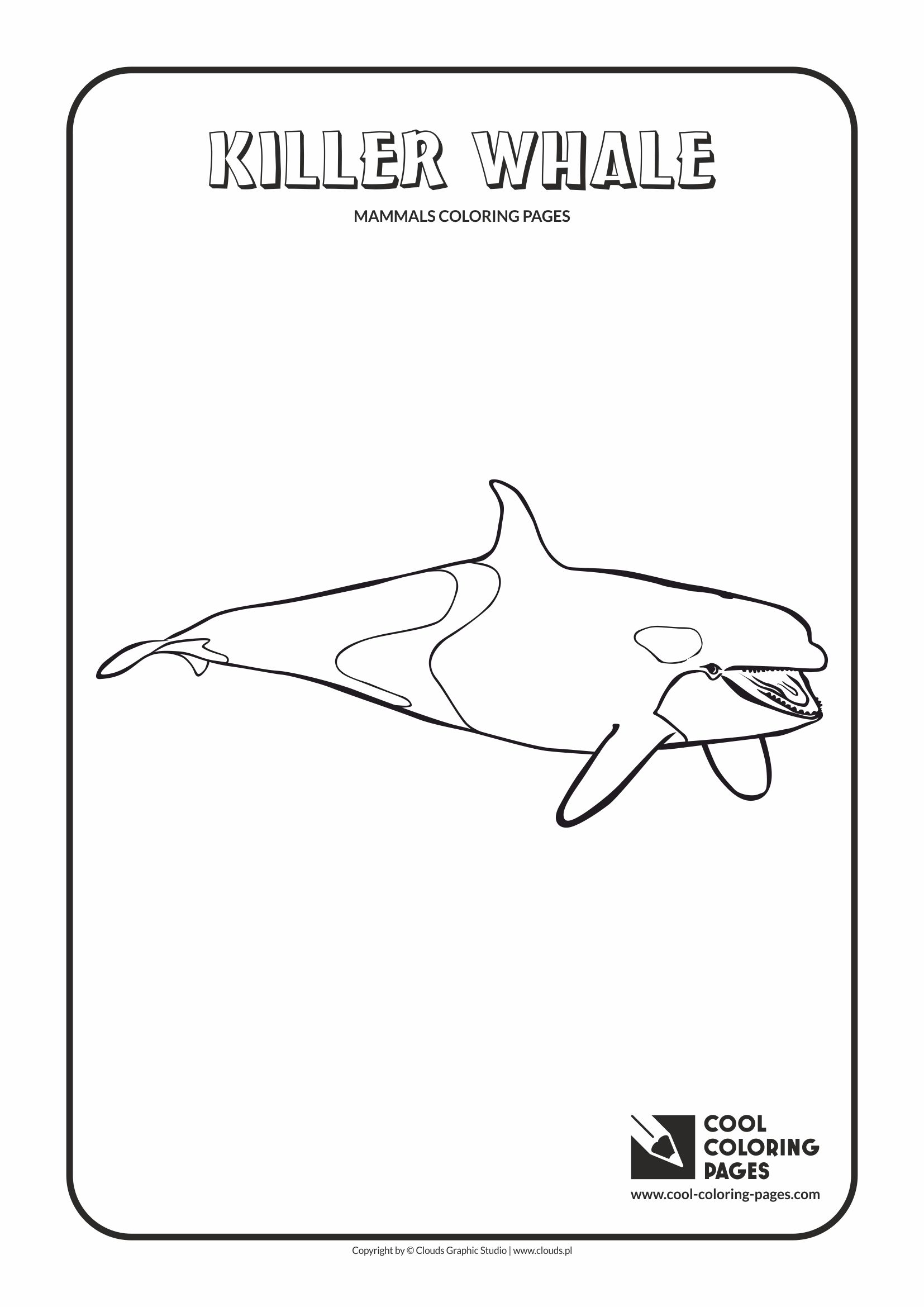 Killer Whales Coloring Pages