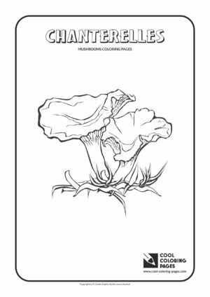 Cool Coloring Pages - Mushrooms / Chanterelles / Coloring page with chanterelles