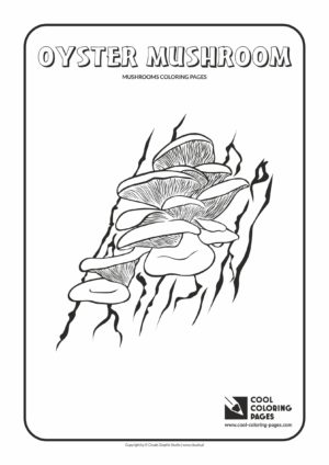 Cool Coloring Pages - Mushrooms / Oyster mushroom / Coloring page with oyster mushroom