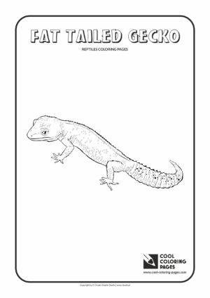 Cool Coloring Pages - Animals / Fat tailed gecko / Coloring page with fat tailed gecko