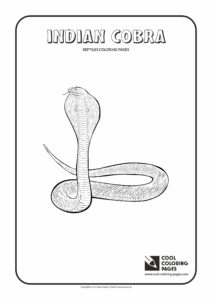 Cool Coloring Pages Indian cobra coloring page - Cool Coloring Pages