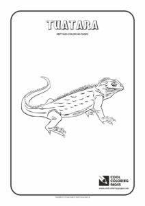 Cool Coloring Pages Tuatara coloring page - Cool Coloring Pages | Free ...