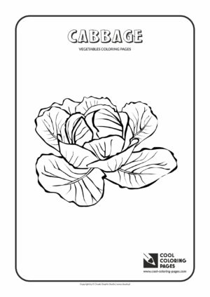 Cool Coloring Pages - Plants / Cabbage / Coloring page with cabbage